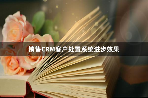 销售CRM客户处置系统进步效果